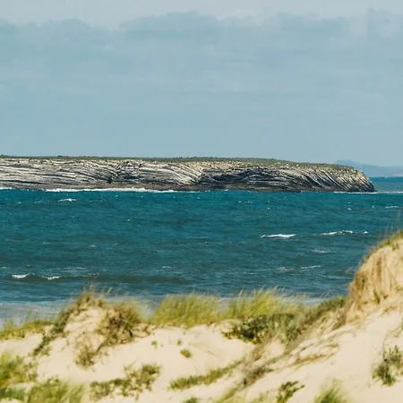 74 - Surfside * 페니케